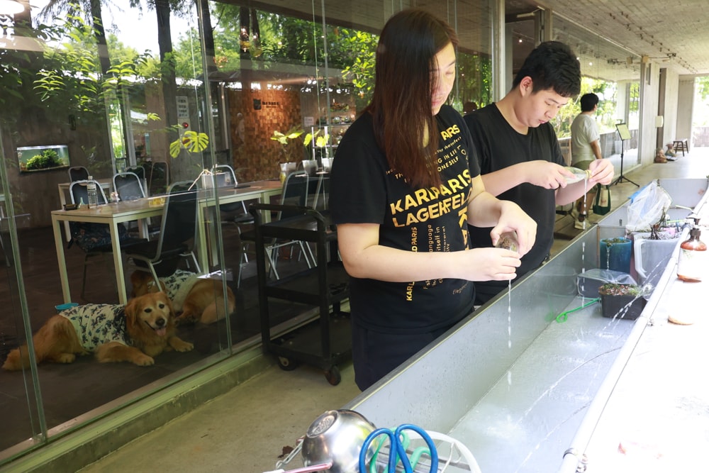 宜蘭員山勝洋休閒農場｜釣蝦DIY、水草火鍋、生態瓶體驗｜親子＋寵物友善半日遊推薦、宜蘭寵物友善景點推薦