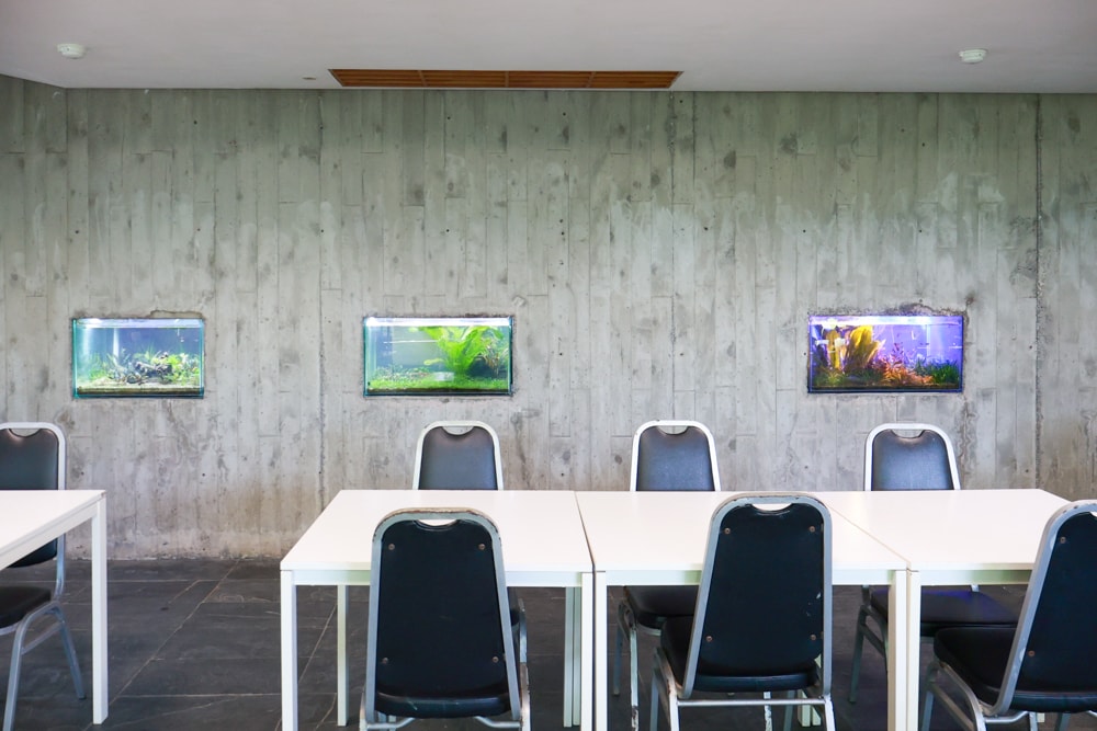 宜蘭員山勝洋休閒農場｜釣蝦DIY、水草火鍋、生態瓶體驗｜親子＋寵物友善半日遊推薦、宜蘭寵物友善景點推薦