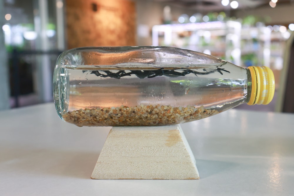 宜蘭員山勝洋休閒農場｜釣蝦DIY、水草火鍋、生態瓶體驗｜親子＋寵物友善半日遊推薦、宜蘭寵物友善景點推薦