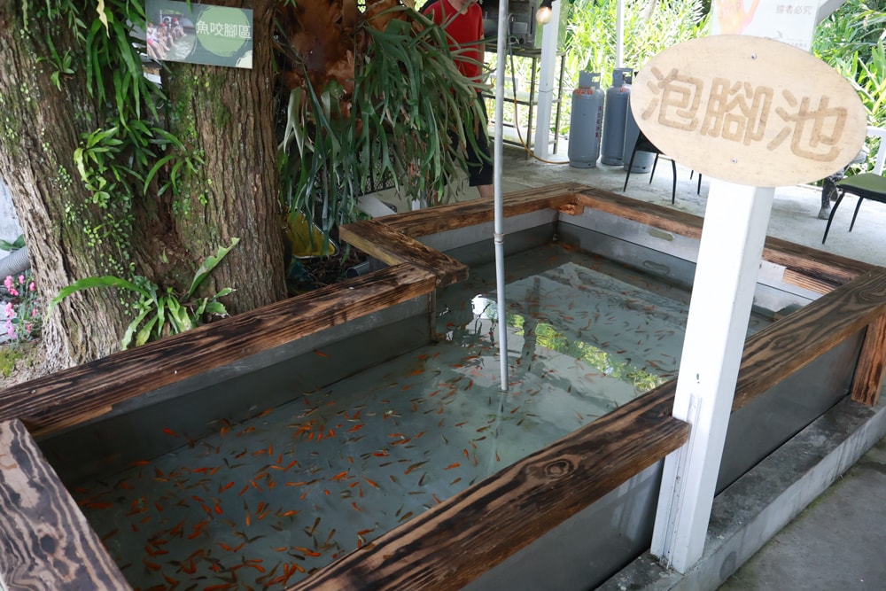 宜蘭員山勝洋休閒農場｜釣蝦DIY、水草火鍋、生態瓶體驗｜親子＋寵物友善半日遊推薦、宜蘭寵物友善景點推薦