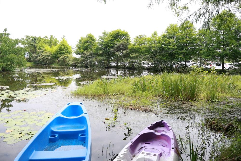 宜蘭員山勝洋休閒農場｜釣蝦DIY、水草火鍋、生態瓶體驗｜親子＋寵物友善半日遊推薦、宜蘭寵物友善景點推薦