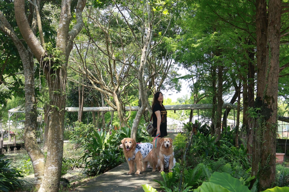 宜蘭員山勝洋休閒農場｜釣蝦DIY、水草火鍋、生態瓶體驗｜親子＋寵物友善半日遊推薦、宜蘭寵物友善景點推薦