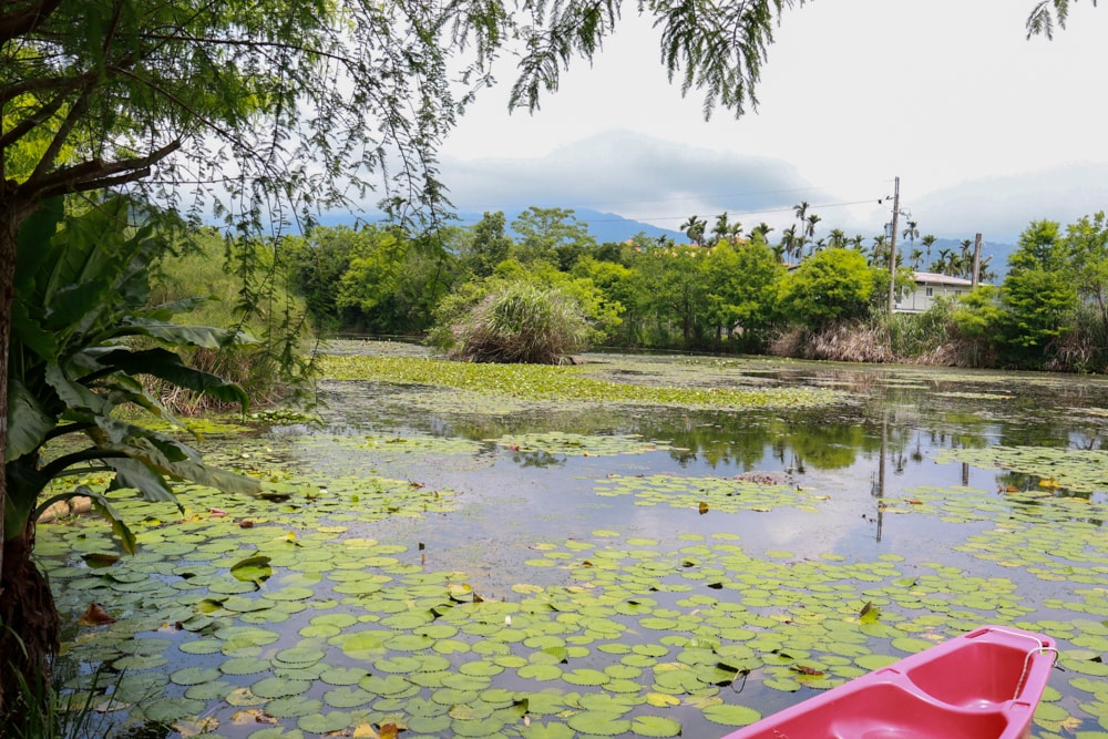 宜蘭員山勝洋休閒農場｜釣蝦DIY、水草火鍋、生態瓶體驗｜親子＋寵物友善半日遊推薦、宜蘭寵物友善景點推薦