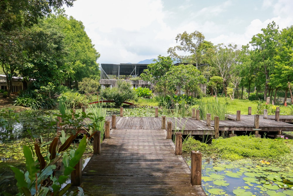 宜蘭員山勝洋休閒農場｜釣蝦DIY、水草火鍋、生態瓶體驗｜親子＋寵物友善半日遊推薦、宜蘭寵物友善景點推薦