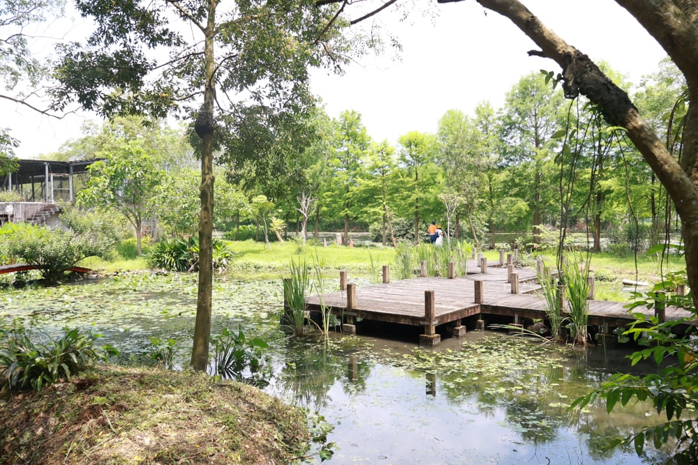 宜蘭員山勝洋休閒農場｜釣蝦DIY、水草火鍋、生態瓶體驗｜親子＋寵物友善半日遊推薦、宜蘭寵物友善景點推薦