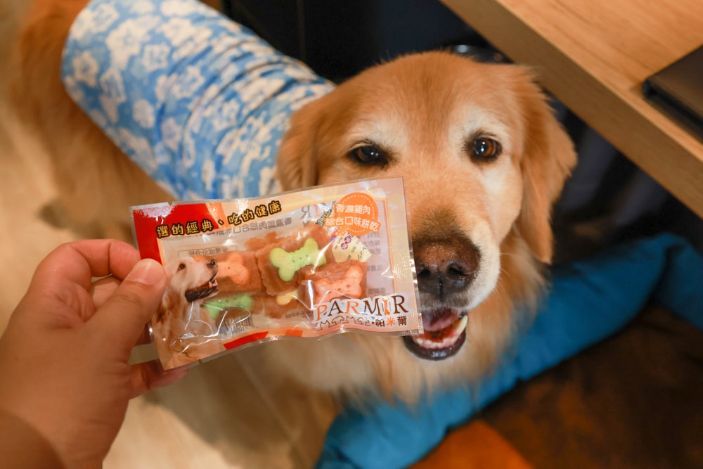 嘉義住宿推薦｜嘉義觀止飯店開箱。寵物友善飯店 ×一泊三食 × 燒肉觀止、嘉義質感飯店首選！