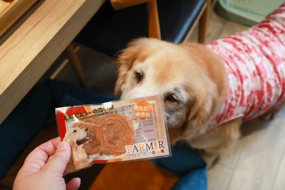 嘉義住宿推薦｜嘉義觀止飯店開箱。寵物友善飯店 ×一泊三食 × 燒肉觀止、嘉義質感飯店首選！