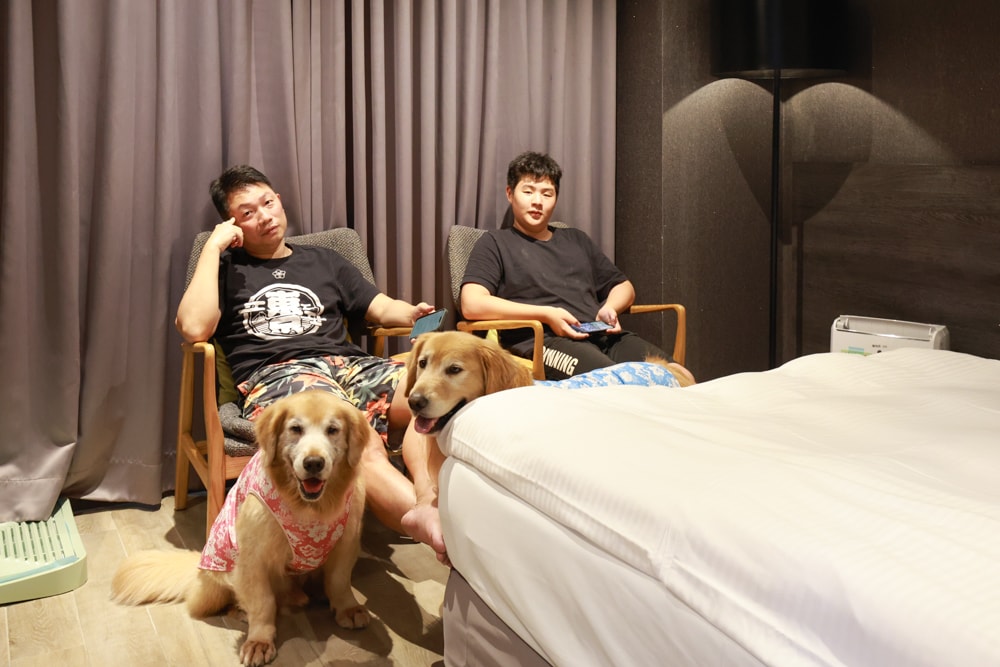 嘉義住宿推薦｜嘉義觀止飯店開箱。寵物友善飯店 ×一泊三食 × 燒肉觀止、嘉義質感飯店首選！