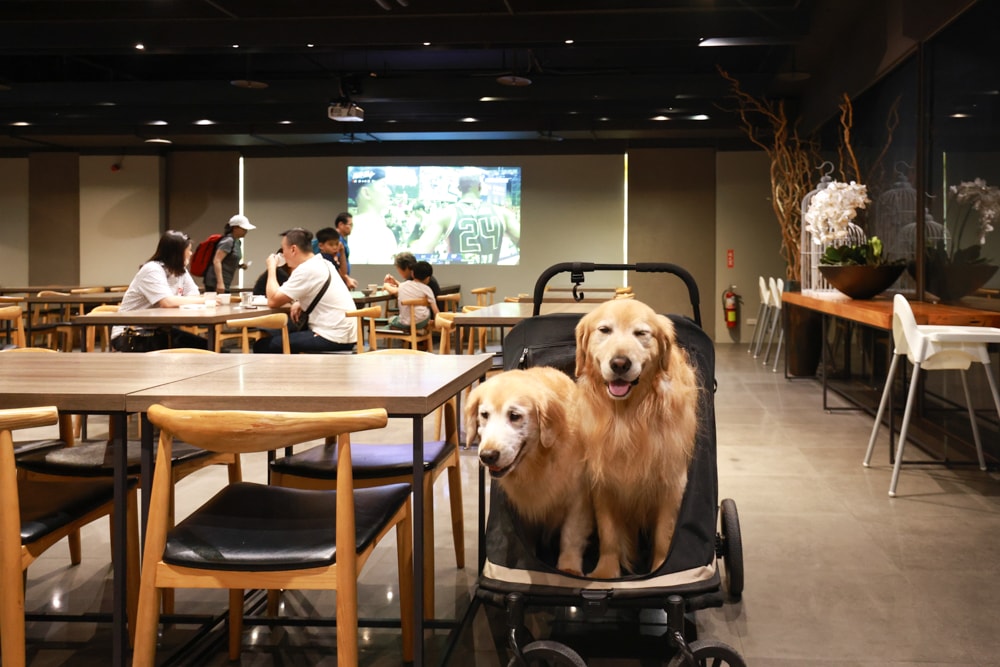 嘉義住宿推薦｜嘉義觀止飯店開箱。寵物友善飯店 ×一泊三食 × 燒肉觀止、嘉義質感飯店首選！