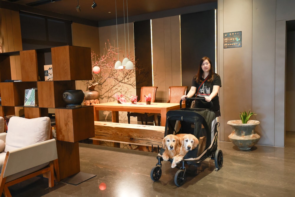 嘉義住宿推薦｜嘉義觀止飯店開箱。寵物友善飯店 ×一泊三食 × 燒肉觀止、嘉義質感飯店首選！