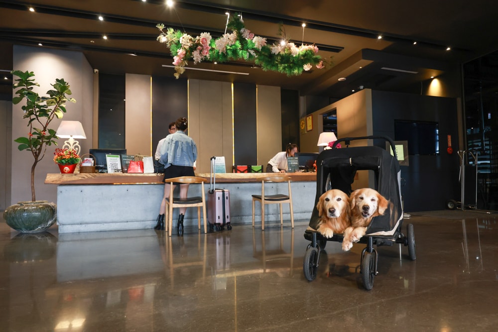 嘉義住宿推薦｜嘉義觀止飯店開箱。寵物友善飯店 ×一泊三食 × 燒肉觀止、嘉義質感飯店首選！