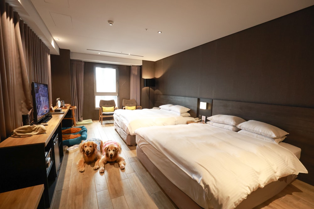 嘉義住宿推薦｜嘉義觀止飯店開箱。寵物友善飯店 ×一泊三食 × 燒肉觀止、嘉義質感飯店首選！