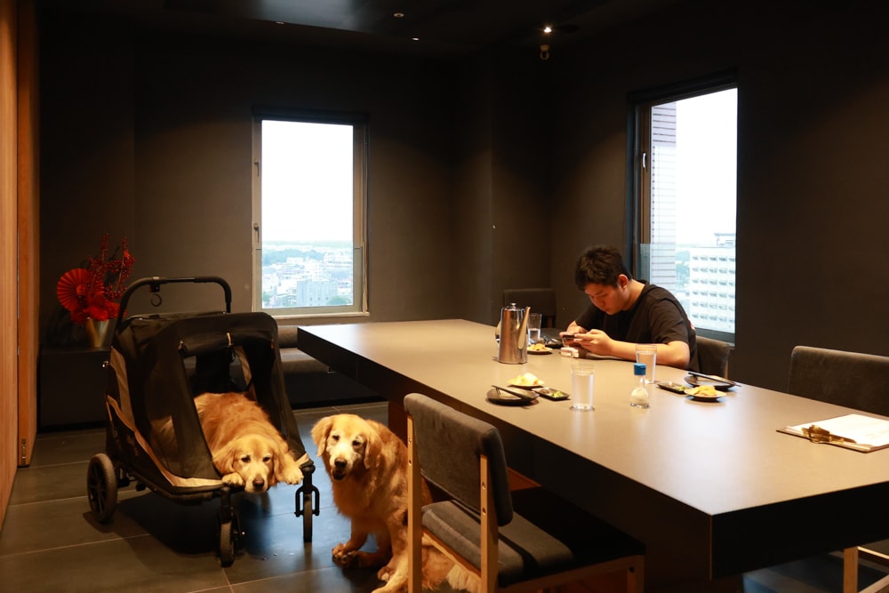 嘉義住宿推薦｜嘉義觀止飯店開箱。寵物友善飯店 ×一泊三食 × 燒肉觀止、嘉義質感飯店首選！