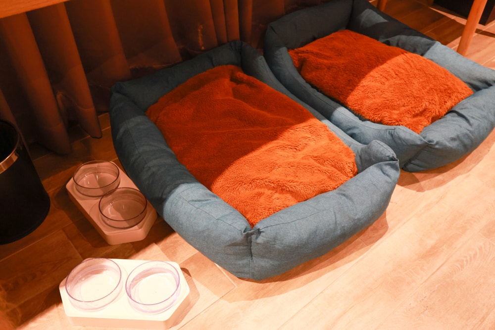 嘉義住宿推薦｜嘉義觀止飯店開箱。寵物友善飯店 ×一泊三食 × 燒肉觀止、嘉義質感飯店首選！