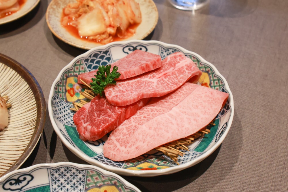 嘉義美食|觀止燒肉專人服務、高空夜景包廂、毛孩還有寵物餐一起吃大餐!!明太子飯、干貝炭燒必吃! - 第25張圖 嘉義美食|觀止燒肉專人服務、高空夜景包廂、毛孩還有寵物餐一起吃大餐!!明太子飯、干貝炭燒必吃!