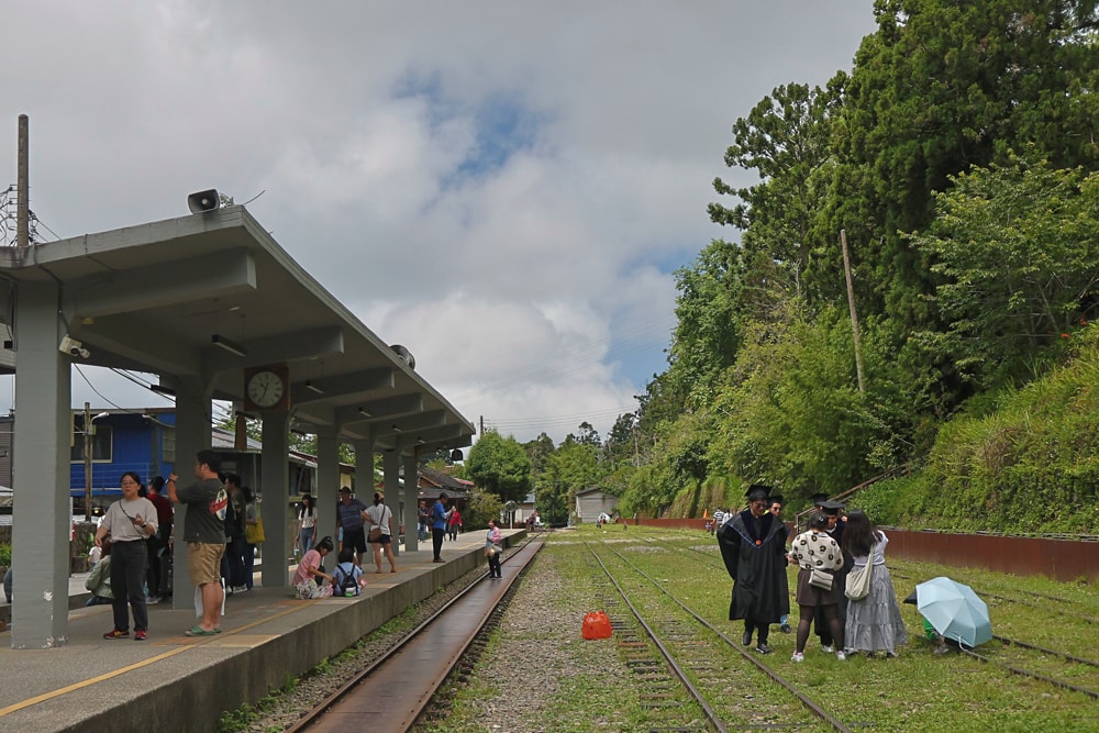 🚂嘉義奮起湖老街一日遊｜吃鐵路便當、買百年甜甜圈、走山林秘境，懷舊拍照行程大滿足！