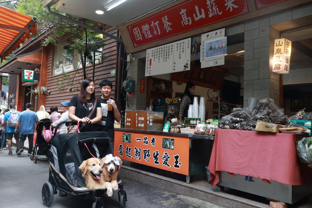🚂嘉義奮起湖老街一日遊｜吃鐵路便當、買百年甜甜圈、走山林秘境，懷舊拍照行程大滿足！