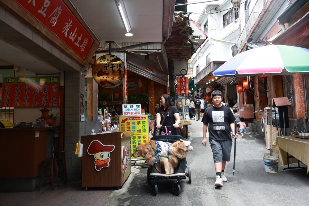 🚂嘉義奮起湖老街一日遊｜吃鐵路便當、買百年甜甜圈、走山林秘境，懷舊拍照行程大滿足！