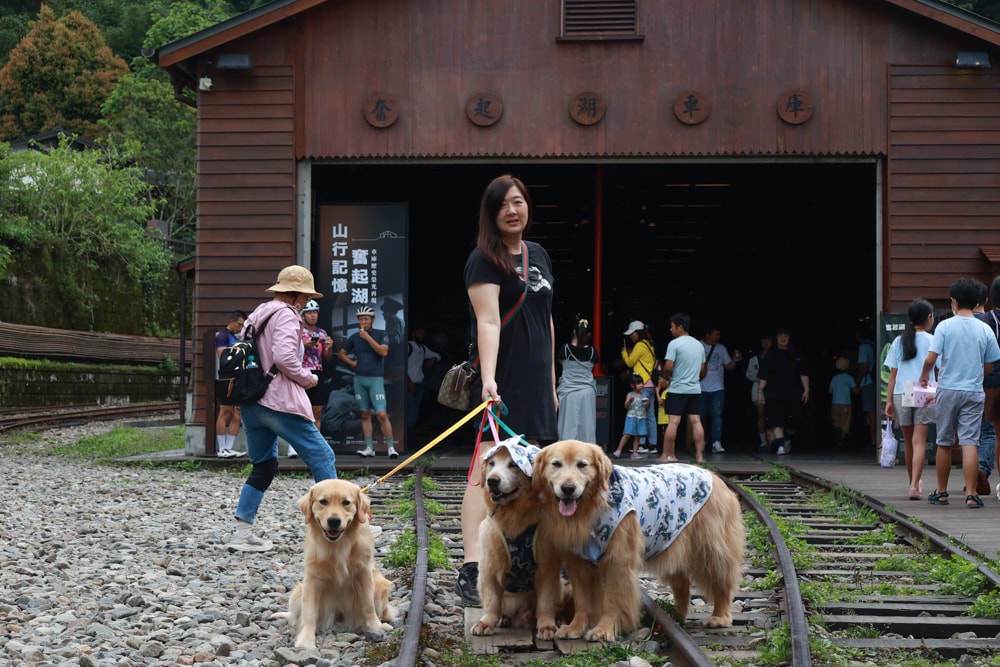 🚂嘉義奮起湖老街一日遊｜吃鐵路便當、買百年甜甜圈、走山林秘境，懷舊拍照行程大滿足！