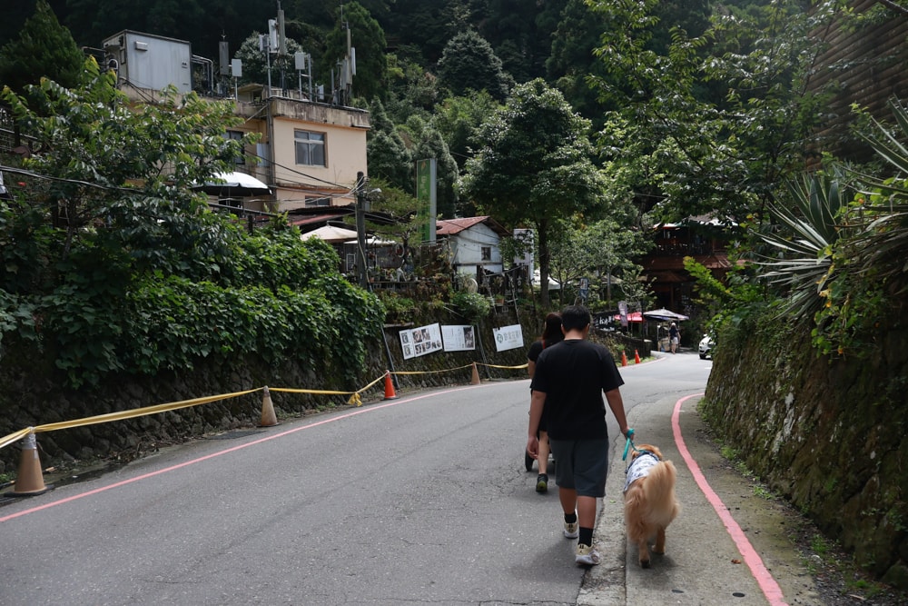 🚂嘉義奮起湖老街一日遊｜吃鐵路便當、買百年甜甜圈、走山林秘境，懷舊拍照行程大滿足！