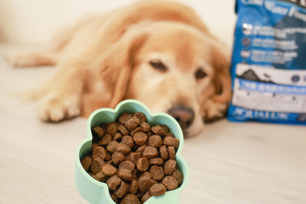 Annamaet安娜美廚飼料｜美國機能型無穀犬糧推薦。針對皮毛、體重、消化設計配方、從挑嘴到舔碗、真實開箱