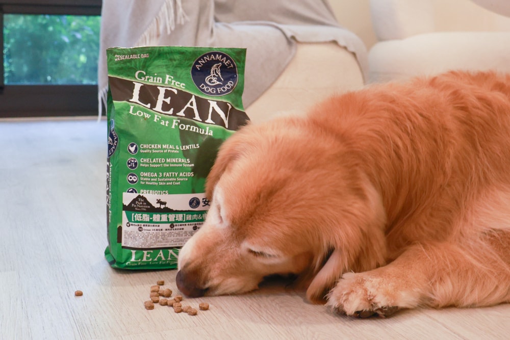 Annamaet安娜美廚飼料｜美國機能型無穀犬糧推薦。針對皮毛、體重、消化設計配方、從挑嘴到舔碗、真實開箱