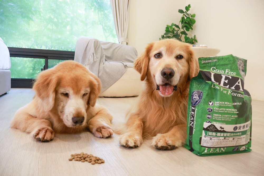 Annamaet安娜美廚飼料｜美國機能型無穀犬糧推薦。針對皮毛、體重、消化設計配方、從挑嘴到舔碗、真實開箱