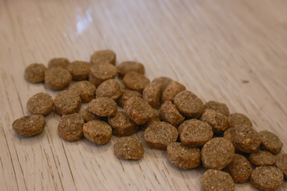 Annamaet安娜美廚飼料｜美國機能型無穀犬糧推薦。針對皮毛、體重、消化設計配方、從挑嘴到舔碗、真實開箱