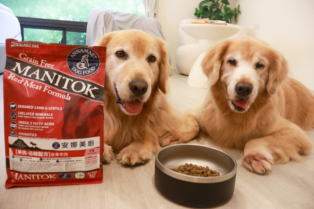 Annamaet安娜美廚飼料｜美國機能型無穀犬糧推薦。針對皮毛、體重、消化設計配方、從挑嘴到舔碗、真實開箱