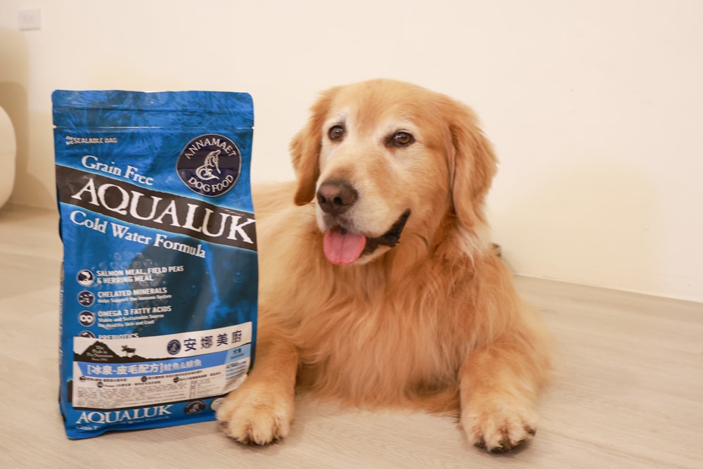 Annamaet安娜美廚飼料｜美國機能型無穀犬糧推薦。針對皮毛、體重、消化設計配方、從挑嘴到舔碗、真實開箱