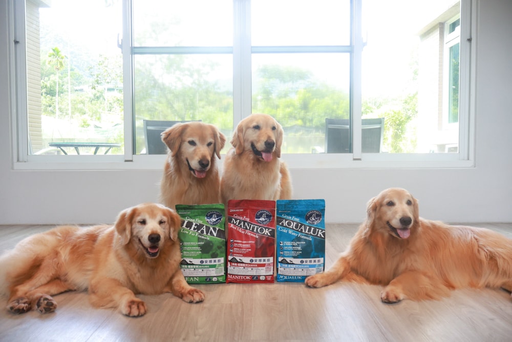 Annamaet安娜美廚飼料｜美國機能型無穀犬糧推薦。針對皮毛、體重、消化設計配方、從挑嘴到舔碗、真實開箱