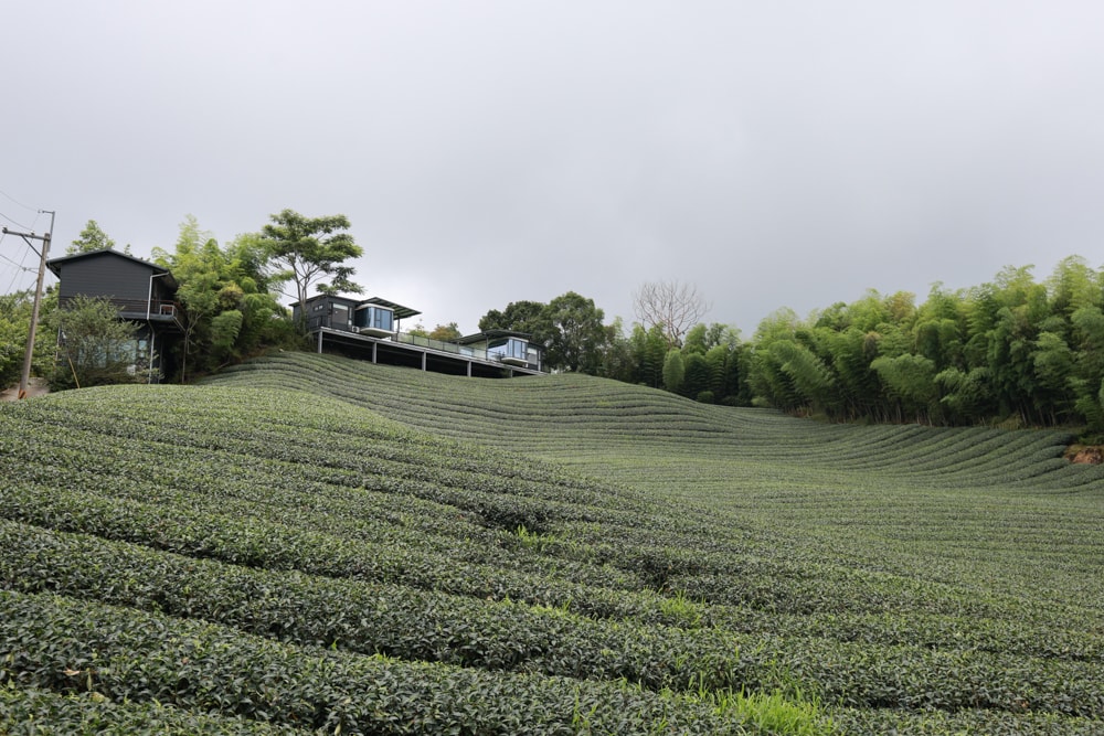 南投竹山|深山林內生態農場。星空玻璃屋、狩獵帳、太空艙、懶人露營全攻略、寵物友善住宿一次看! - 第3張圖 南投竹山|深山林內生態農場。星空玻璃屋、狩獵帳、太空艙、懶人露營全攻略、寵物友善住宿一次看!
