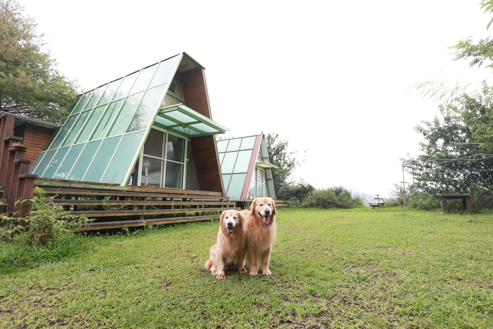 南投竹山|深山林內生態農場。星空玻璃屋、狩獵帳、太空艙、懶人露營全攻略、寵物友善住宿一次看! - 第5張圖 南投竹山|深山林內生態農場。星空玻璃屋、狩獵帳、太空艙、懶人露營全攻略、寵物友善住宿一次看!