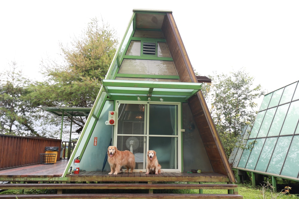 南投竹山|深山林內生態農場。星空玻璃屋、狩獵帳、太空艙、懶人露營全攻略、寵物友善住宿一次看! - 第1張圖 南投竹山|深山林內生態農場。星空玻璃屋、狩獵帳、太空艙、懶人露營全攻略、寵物友善住宿一次看!