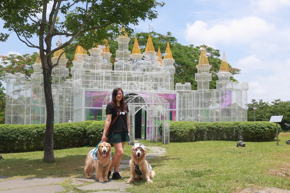嘉義牛埔仔愛情大草原｜阿里山山腳下免費景點推薦，情侶放閃＆親子寵物放電必去大草原！