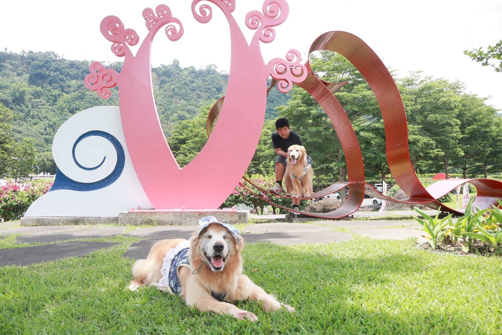 嘉義牛埔仔愛情大草原｜阿里山山腳下免費景點推薦，情侶放閃＆親子寵物放電必去大草原！