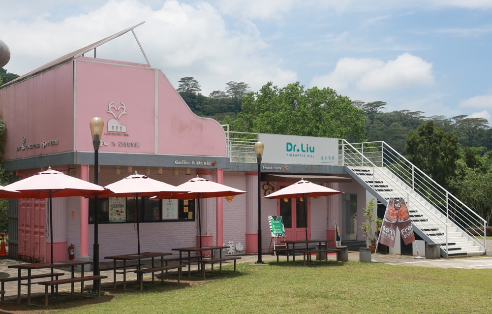 嘉義牛埔仔愛情大草原｜阿里山山腳下免費景點推薦，情侶放閃＆親子寵物放電必去大草原！