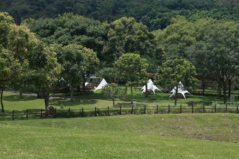 嘉義牛埔仔愛情大草原｜阿里山山腳下免費景點推薦，情侶放閃＆親子寵物放電必去大草原！