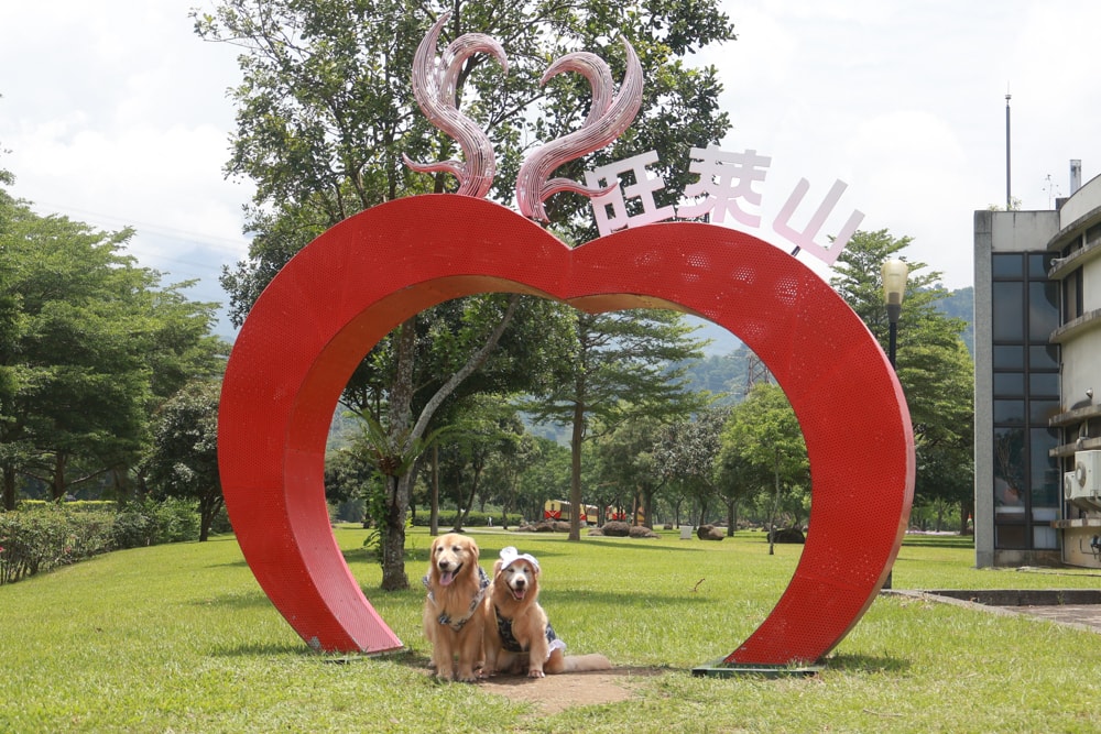 嘉義牛埔仔愛情大草原｜阿里山山腳下免費景點推薦，情侶放閃＆親子寵物放電必去大草原！