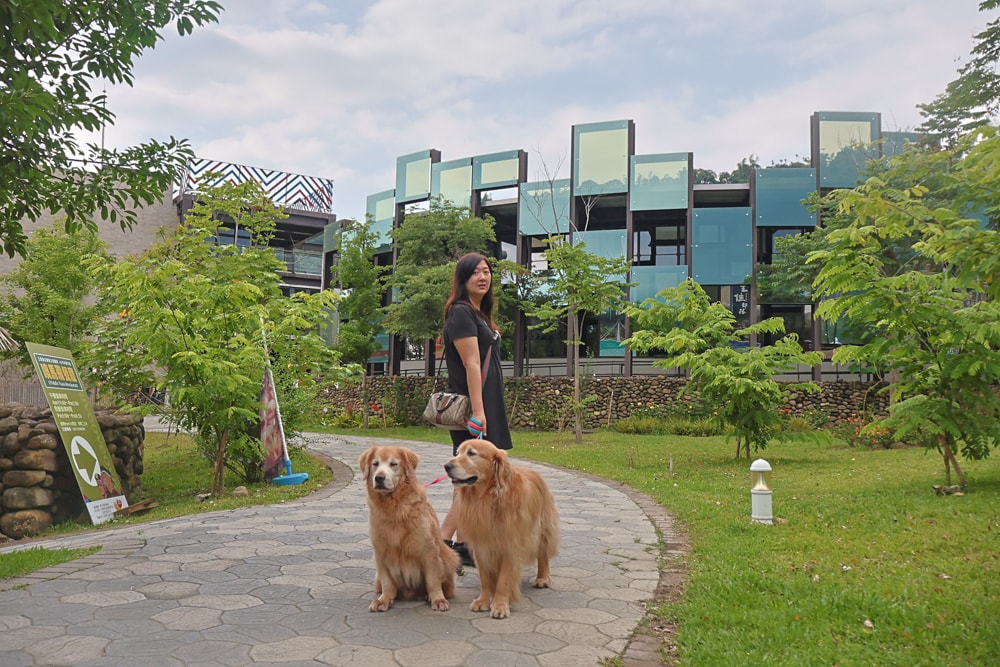 嘉義阿里山腳下景點｜逐鹿文創園區餵梅花鹿、看原民歌舞、鄒族文化、寵物友善景點、免費入園超充實！