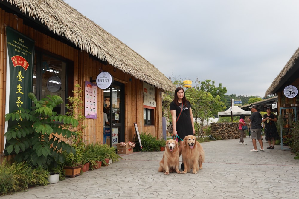 嘉義阿里山腳下景點｜逐鹿文創園區餵梅花鹿、看原民歌舞、鄒族文化、寵物友善景點、免費入園超充實！