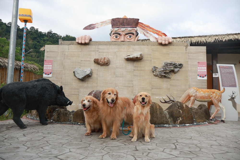 嘉義阿里山腳下景點｜逐鹿文創園區餵梅花鹿、看原民歌舞、鄒族文化、寵物友善景點、免費入園超充實！