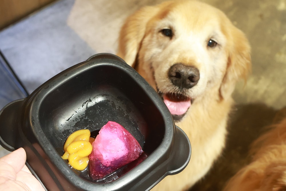 MyBeau寵優補|紐西蘭獸醫研發液態保健神隊友!毛孩的營養小金庫、口腔、毛髮、視力、關節全面守護毛孩健康 - 第12張圖 MyBeau寵優補|紐西蘭獸醫研發液態保健神隊友!毛孩的營養小金庫、口腔、毛髮、視力、關節全面守護毛孩健康