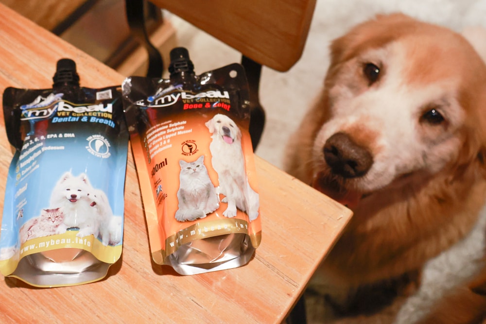 MyBeau寵優補|紐西蘭獸醫研發液態保健神隊友!毛孩的營養小金庫、口腔、毛髮、視力、關節全面守護毛孩健康 - 第3張圖 MyBeau寵優補|紐西蘭獸醫研發液態保健神隊友!毛孩的營養小金庫、口腔、毛髮、視力、關節全面守護毛孩健康