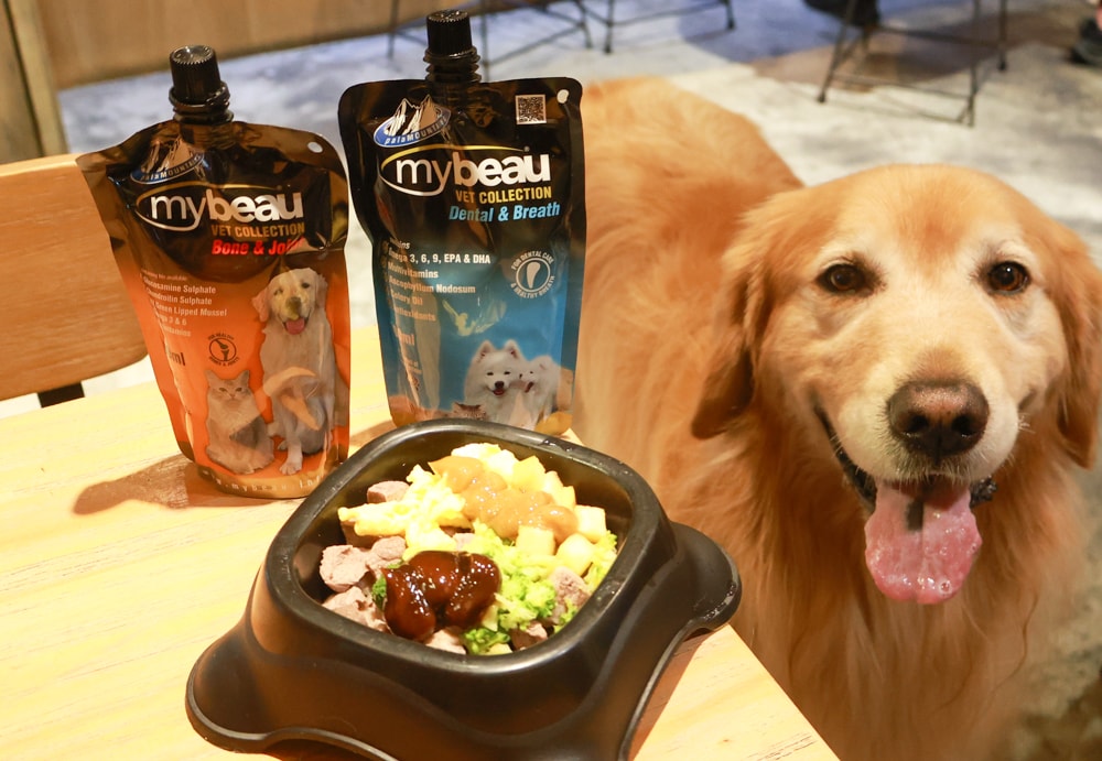 MyBeau寵優補|紐西蘭獸醫研發液態保健神隊友!毛孩的營養小金庫、口腔、毛髮、視力、關節全面守護毛孩健康 - 第16張圖 MyBeau寵優補|紐西蘭獸醫研發液態保健神隊友!毛孩的營養小金庫、口腔、毛髮、視力、關節全面守護毛孩健康