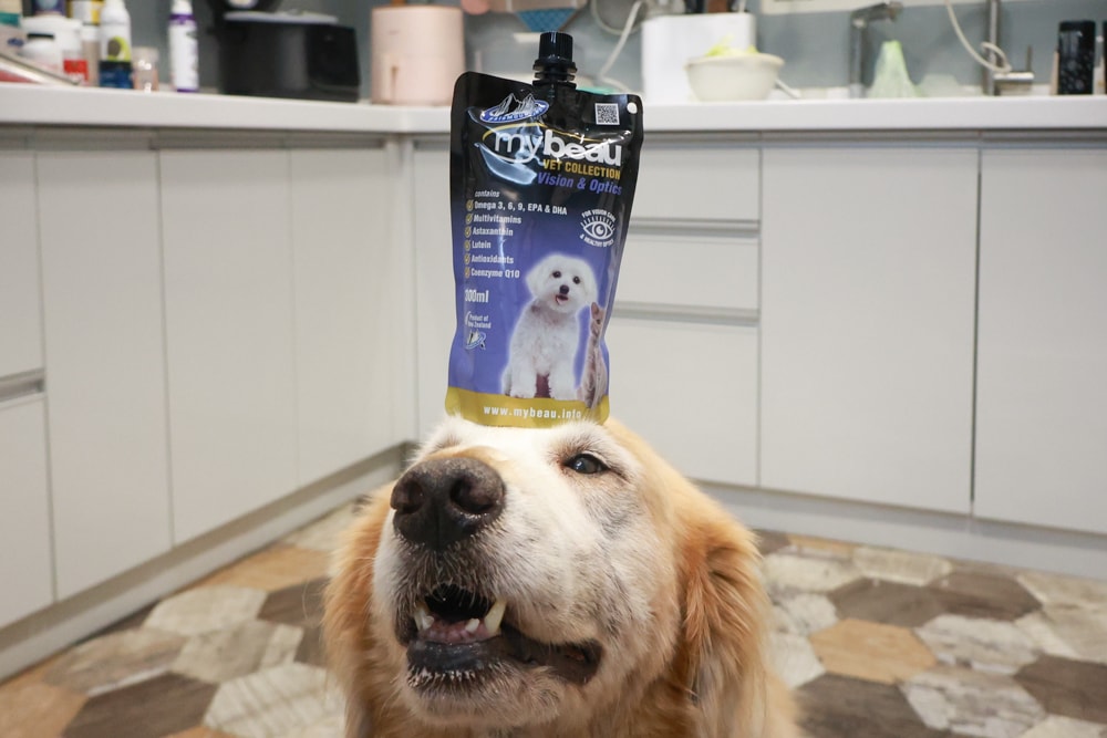 MyBeau寵優補|紐西蘭獸醫研發液態保健神隊友!毛孩的營養小金庫、口腔、毛髮、視力、關節全面守護毛孩健康 - 第21張圖 MyBeau寵優補|紐西蘭獸醫研發液態保健神隊友!毛孩的營養小金庫、口腔、毛髮、視力、關節全面守護毛孩健康