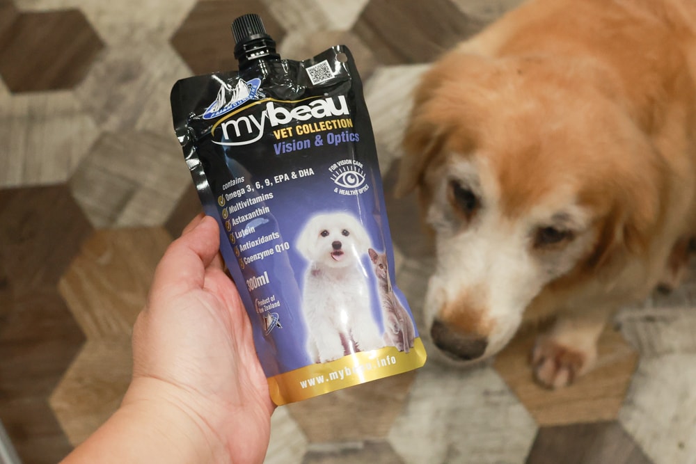MyBeau寵優補|紐西蘭獸醫研發液態保健神隊友!毛孩的營養小金庫、口腔、毛髮、視力、關節全面守護毛孩健康 - 第20張圖 MyBeau寵優補|紐西蘭獸醫研發液態保健神隊友!毛孩的營養小金庫、口腔、毛髮、視力、關節全面守護毛孩健康