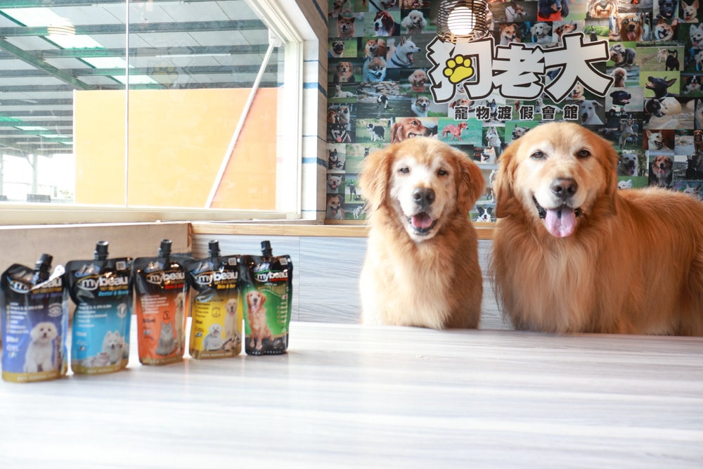 MyBeau寵優補|紐西蘭獸醫研發液態保健神隊友!毛孩的營養小金庫、口腔、毛髮、視力、關節全面守護毛孩健康 - 第2張圖 MyBeau寵優補|紐西蘭獸醫研發液態保健神隊友!毛孩的營養小金庫、口腔、毛髮、視力、關節全面守護毛孩健康