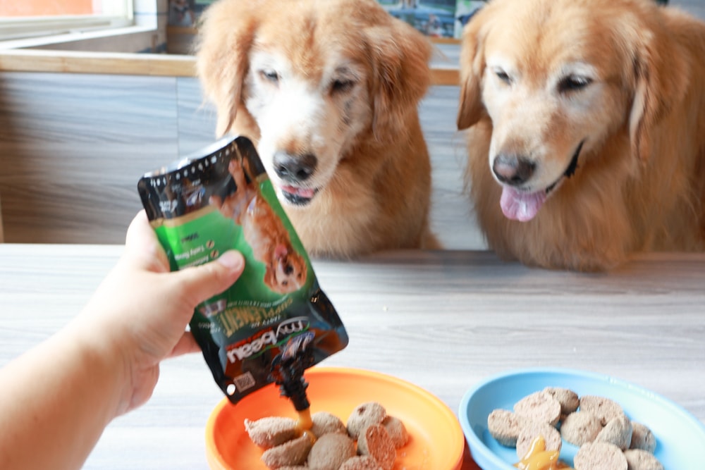 MyBeau寵優補|紐西蘭獸醫研發液態保健神隊友!毛孩的營養小金庫、口腔、毛髮、視力、關節全面守護毛孩健康 - 第6張圖 MyBeau寵優補|紐西蘭獸醫研發液態保健神隊友!毛孩的營養小金庫、口腔、毛髮、視力、關節全面守護毛孩健康