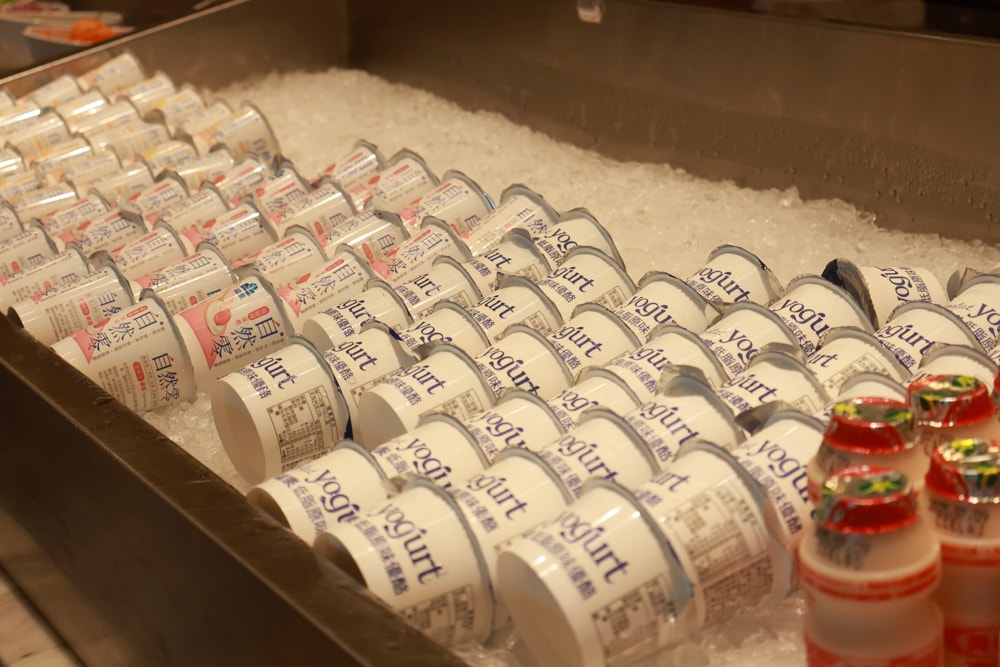 台北六福萬怡酒店｜台北寵物友善飯店、寵物房開箱、帶毛孩入住五星飯店、五星級萬豪飯店體系